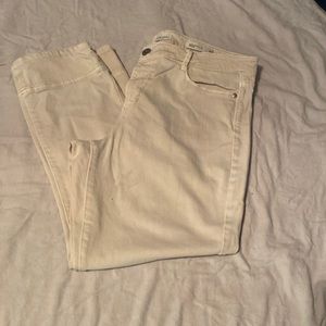 Jjill Authentic Fit Cropped Tall